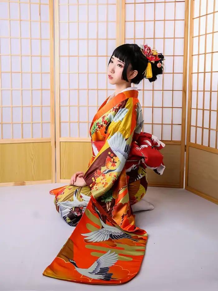 Robe Kimono à Manches sulfpour Femme, Tenue Formelle Japonaise, Imprimés Floraux, Costume Cosplay, pour Spectacle sur Scène