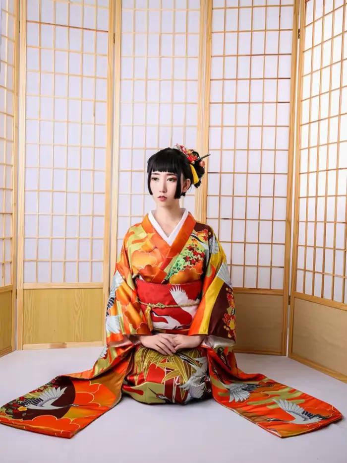 Robe Kimono à Manches sulfpour Femme, Tenue Formelle Japonaise, Imprimés Floraux, Costume Cosplay, pour Spectacle sur Scène