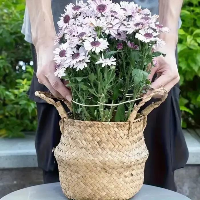 Grand support suspendu pour plantes, cadre de support anti-renversement pour tiges de plantes, stabilisateur robuste pour tiges grimpantes et feuilles, pour la décoration de pots de fleurs