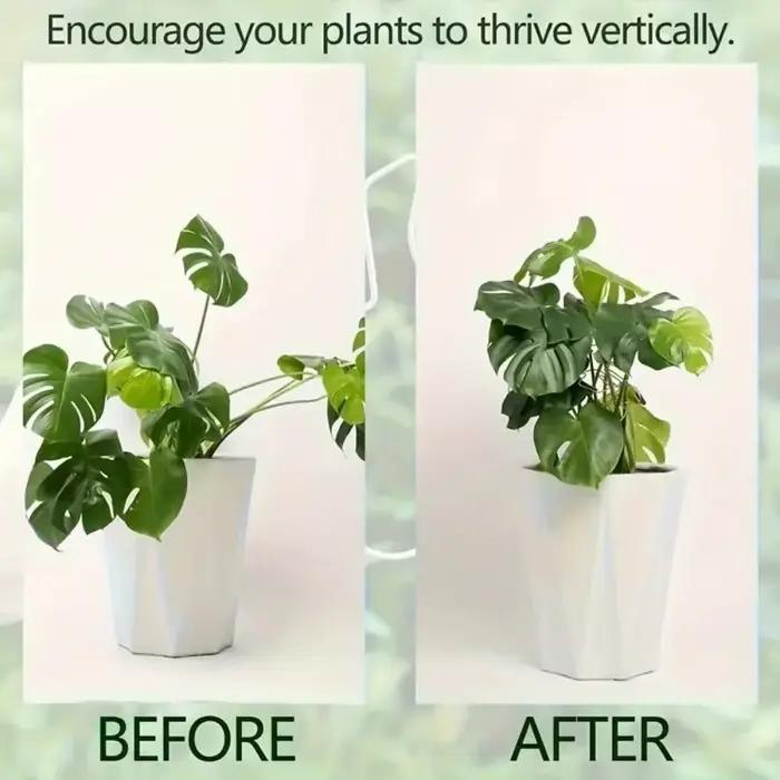 Support de plante suspendu anti-chute de grande taille, cadre de support pour tiges de plantes, stabilisateur robuste pour tiges grimpantes et feuilles, pour la décoration de pots de fleurs