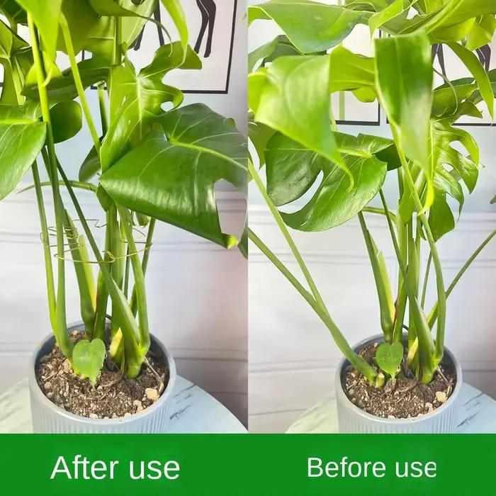 Grand support suspendu pour plantes, cadre de support anti-renversement pour tiges de plantes, stabilisateur robuste pour tiges grimpantes et feuilles, pour la décoration de pots de fleurs