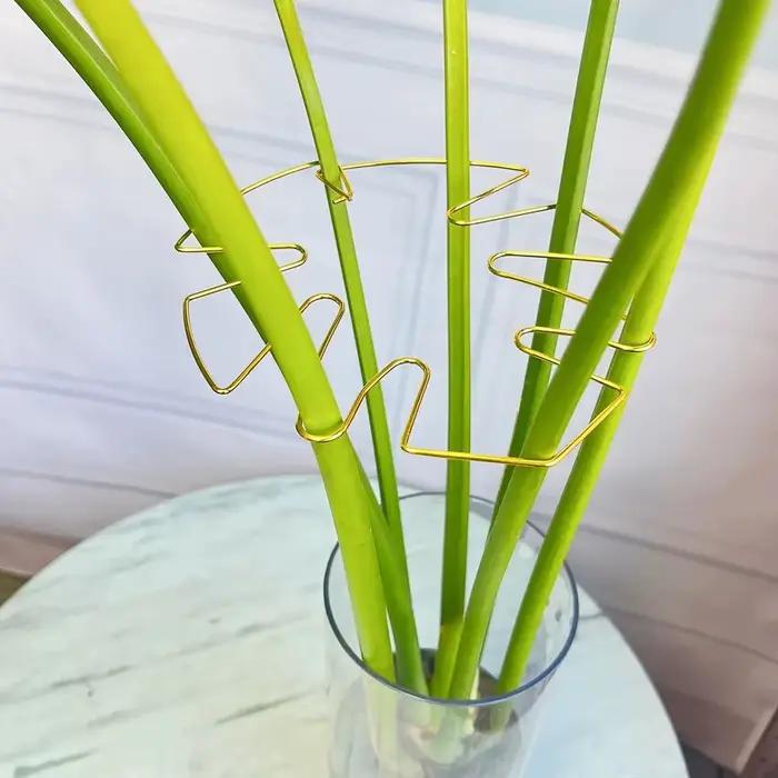 Grand support suspendu pour plantes, cadre de support anti-renversement pour tiges de plantes, stabilisateur robuste pour tiges grimpantes et feuilles, pour la décoration de pots de fleurs
